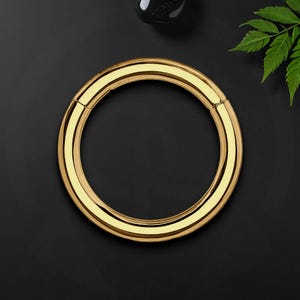 Titan Clicker Ring im klassisch schlichten Stil, Daith Schmuck, Septum Piercing, Nasenring, Piercing Hoop, Septum Ohrring