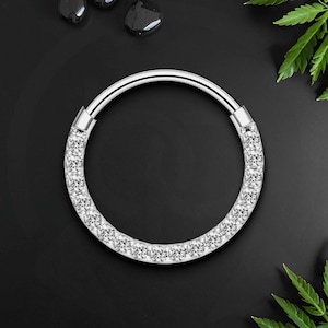 Titan Clicker Ring mit dünnem Segment und Zirkonia, Daith Schmuck, Nase Hoop, Daith Ohrring, Septum Piercing, Piercing Ring