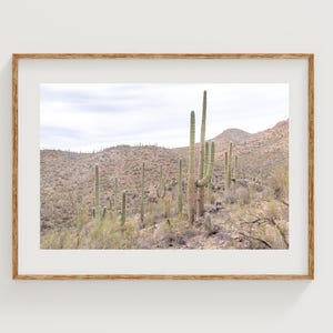 Arizona Wüste Wandkunst - Saguaro Kaktus Fotografie Druck - Südwestliches Landschaftsfoto, minimalistisches Naturdekor, Wüstenbotanische Kunst