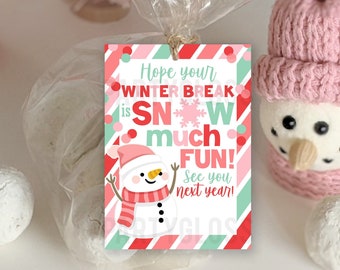 Weihnachten Winter Pause Schnee Viel Spaß Wertschätzung Printable Tag | Rosa Schneemann Cookie Tags | Studentenferien | Lehrer Geschenkanhänger