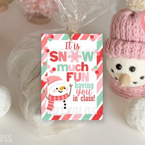 Weihnachten Schnee viel Spaß Wertschätzung druckbare Geschenkanhänger rosa Schneemann Cookie Tag Schüler Feiertagsgruß mit Ihnen in der Klasse PTA vom Lehrer