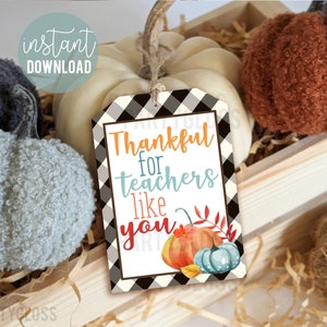 Thanksgiving Teacher Appreciation Printable Gift Tags, Autumn Fall Thanks Tag Thankful For Teachers Like You PTA PTO School Staff Faculty
