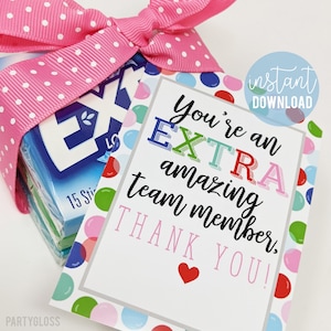 Team Appreciation Printable Gift Tags, You're Extra Amazing Team Member Thank You Staff Coworker Teammate PTA PTO Faculty Office Teachers