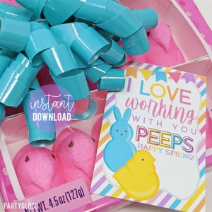 Easter Peeps Printable Tags, Team Member Spring Tag, Staff Appreciation Coworker Gift Tag Employee Teammate Teacher PTA PTO Volunteer Admin
