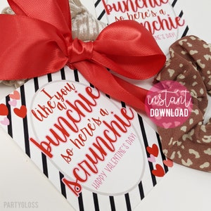 Etiquetas para impressão do Dia dos Namorados Scrunchie Bunchie Valentine VSCO Gravata de cabelo Classe Equipe Amigo Vizinho Professor Ônibus Colega de equipe Estudante