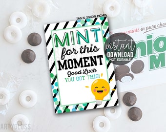 Test Taking Mint For This Moment Good Luck Printable Gift Tags, State Testing, Spelling Bee, Quiz Bowl, Mathletes Math Trivia Quiz Candy Pun