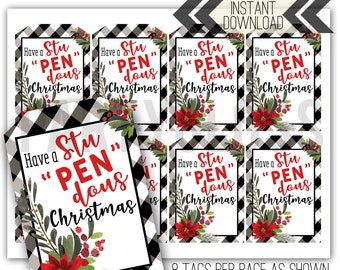 StuPENdous Christmas Printable Tag | Christmas Holiday Tag | Pen Tag | Teacher Gift | Stupendous Pen Gift Tag| Gift tag for friends & family