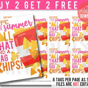 Chips End Of Year Printable Tags, All That And A Bag of Chips Nacho Gift Tag Happy Summer Break Friend Class School Teammate Classmate Pink