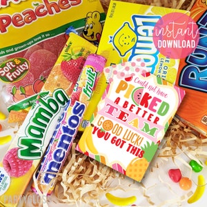Étiquettes-cadeaux imprimables de remerciement pour l'équipe fruitée, Étiquette pour bonbon en cuir fruitée Bonne chance n'aurait pas pu choisir meilleur coéquipier pour un entraînement le jour du match