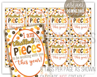 Thrilled To Pieces Coworker Appreciation Printable Gift Tags, School Staff Team Gift Tag Employee Thank You Admin Volunteer Office Treats