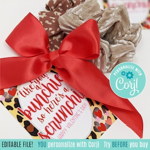 Giorno di San Valentino modificabile Tag stampabili Scrunchie San Valentino Fiocco leopardato Cravatta per capelli Classe Squadra Amico Vicino Insegnante Compagno di classe Studente Autobus