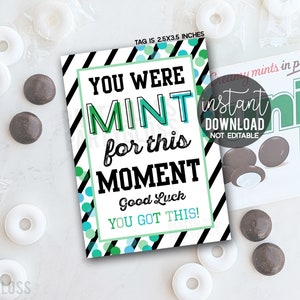 You Were Mint For This Moment Good Luck Geschenkanhänger zum Ausdrucken, Sport, Prüfung, Vorstellungsgespräch, Vorsprechen, Prüfung, Quiz