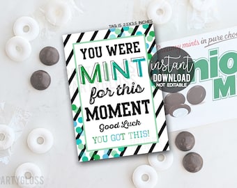 You Were Mint For This Moment Good Luck Printable Gift Tags, Sports, Testing, Job Interview, Tryouts, Audition, Boards Board, Exam, Quiz