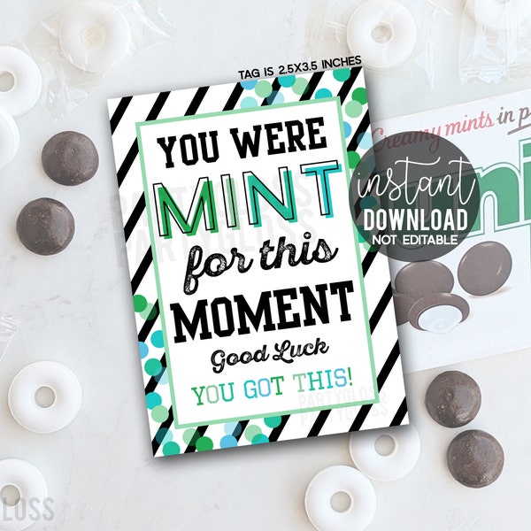 You Were Mint For This Moment Good Luck Printable Gift Tags, Sports, Testing, Job Interview, Tryouts, Audition, Boards Board, Exam, Quiz