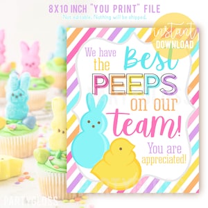 Puede incluir: Señal imprimible de 20,3 x 25,4 cm con un fondo a rayas en rosa, morado, azul y amarillo. La señal presenta un personaje Peep azul y amarillo y un personaje Peep pollito amarillo. El texto en la señal dice "We have the best PEEPS on our team! You are appreciated!"