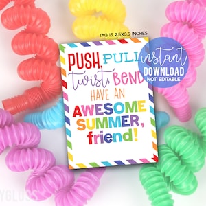 Etiquetas para impressão de fim de ano sensorial Fidget, não alimentar, Push Pull Twist Bend Tenha um amigo de verão incrível, classe Pop Tube Toy Colegas de classe