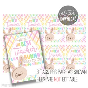 Teacher Appreciation Printable Tags, the Best Teacher Any Bunny Could ...