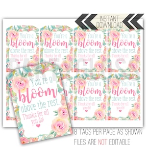 Etiquetas de presente florais para impressão de agradecimento aos funcionários, etiqueta de agradecimento aos professores Bloom Above The Rest, agradecimento aos funcionários da escola PTA PTO PTSA, corpo docente