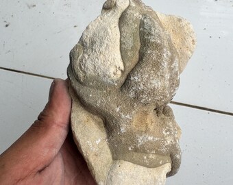 891g Impactite Splatterforms from Meteorite Impact, Suevite not Tektite, Agni Manitite, Moldavite, Saffordite