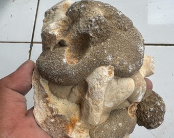1,13Kg Impactite Splatterforms from Meteorite Impact, Suevite not Tektite, Agni Manitite, Moldavite, Saffordite