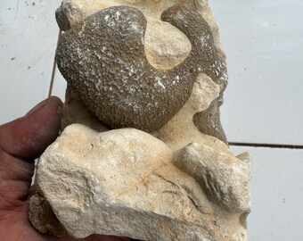 1,15Kg Impactite Splatterforms from Meteorite Impact, Suevite not Tektite, Agni Manitite, Moldavite, Saffordite