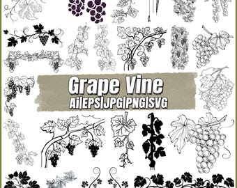 Grape Vine SVG, grape bunch svg, grape vine wall decor, vine leaves svg,grape vine vector, Vine leaf svg grape decorative,Instant Download
