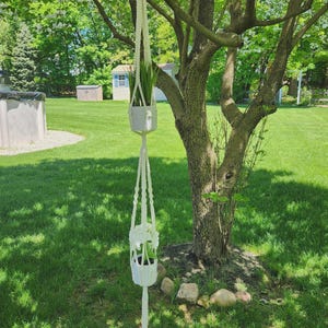 May include: A white macrame plant hanger with two white pots and green plants hanging from a tree branch in a backyard.
