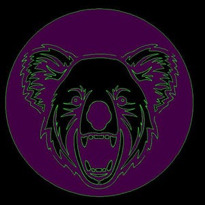Orso cadente Koala