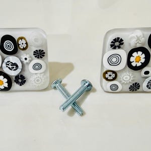 May include: Two square cabinet knobs with a clear background, decorated with black, white, and brown floral and geometric designs. Two silver screws are positioned between the knobs. These decorative knobs are ideal for furniture.