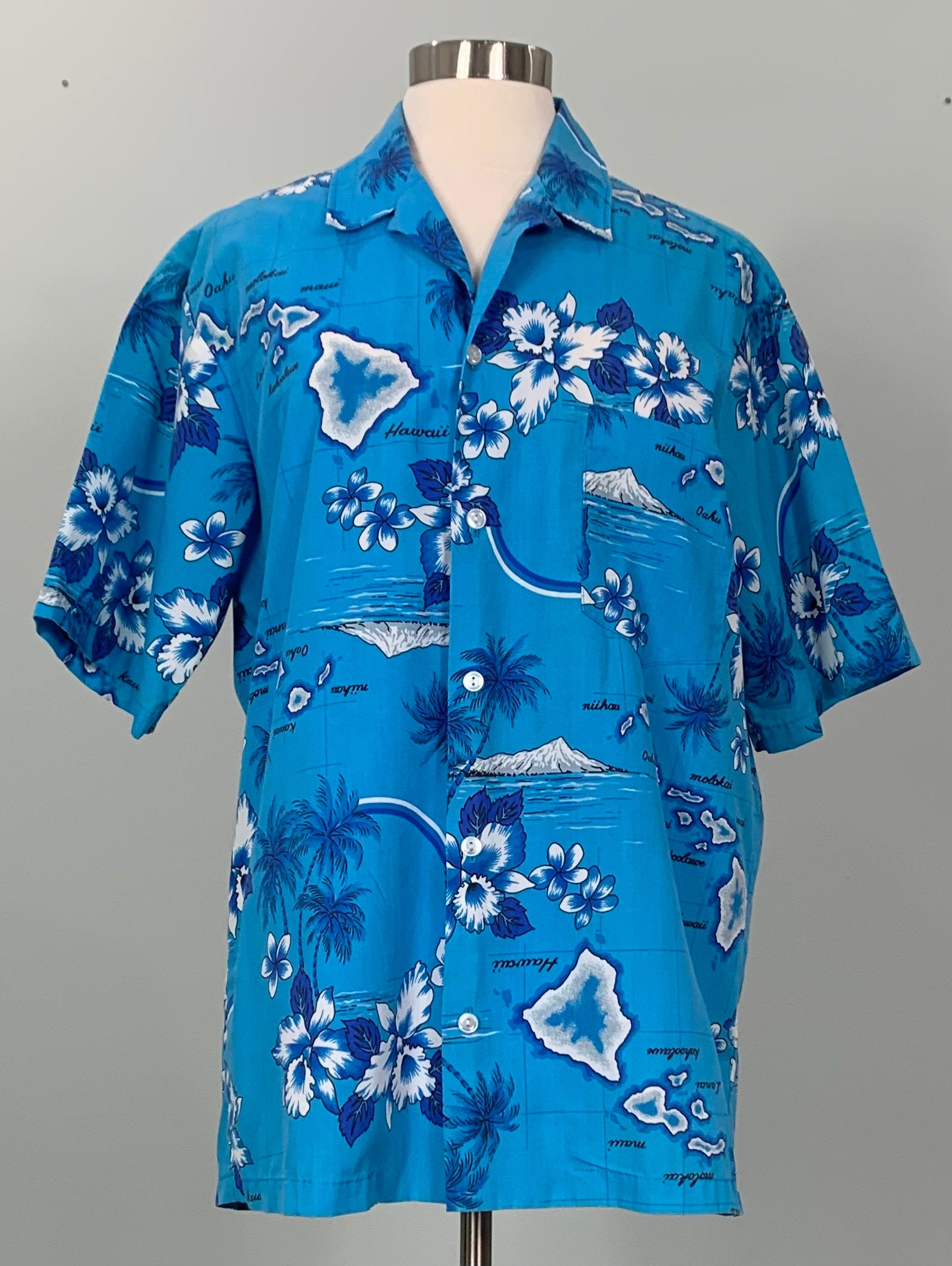 Discover Camisa Hawaiana Azul con Botones Unisex