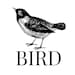 Bird In The Chimney