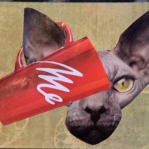 Chat Sphynx avec mug rouge