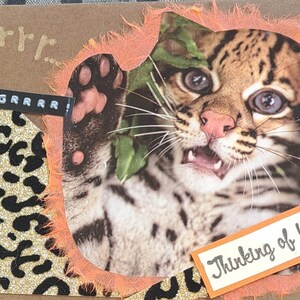 Chat léopard « Je pense à vous... grrr »