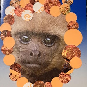 Babyaapje