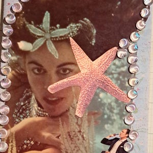 Dame étoile de mer