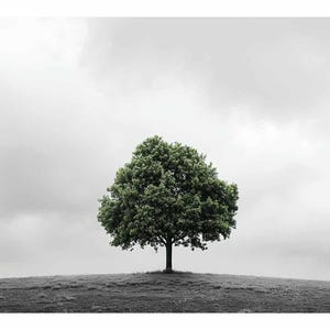 Green Tree Canvas Print