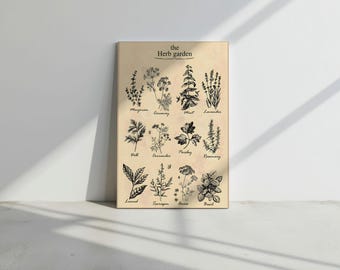 Aromatic Herbs Set | Fragrant Botanical Canvas Art Print | Lavender & More for Kitchen Decor
