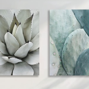 Green Cactus Canvas Art | Succulent Wall Decor | Modern Botanical Wall Decor | Agave Minimalist Home Decor