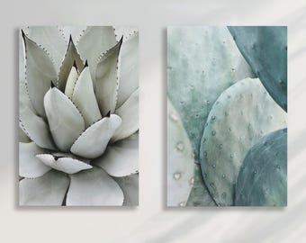 Green Cactus Canvas Art | Succulent Wall Decor | Modern Botanical Wall Decor | Agave Minimalist Home Decor