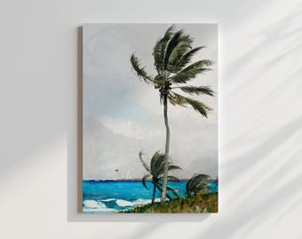 Palm Tree, Nassau (1898) by Winslow Homer - High Resolution Landscape Art Print- Canvas Wall Decor