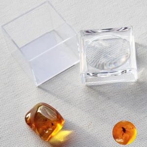 Puede incluir: Una lupa cuadrada transparente con una lente redonda se encuentra junto a una pequeña caja de plástico transparente abierta. También hay dos piezas de ámbar, una de forma irregular y otra redonda. Las piezas de ámbar tienen insectos.