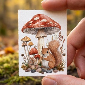 Può includere: Un piccolo dipinto rettangolare ad acquerello su carta ruvida che raffigura un grande fungo rosso con macchie bianche, diversi funghi più piccoli marroni e rossi e uno scoiattolo marrone seduto su rocce grigie tra fili d'erba.