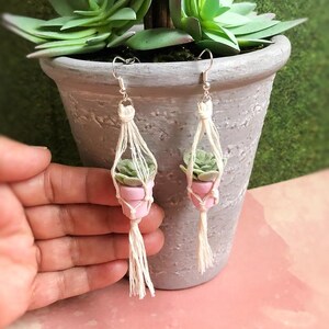 May include: A pair of earrings featuring miniature succulent plants in pink pots, suspended within macrame plant hangers. The earrings have silver-colored hooks and are set against a blurred background of a potted plant and a pink surface.