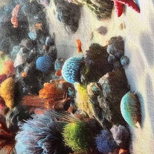 May include: A fabric print featuring a vibrant underwater coral reef scene. The design displays a variety of colorful corals in shades of blue, orange, yellow, and green, alongside a bright red starfish resting on a sandy ocean floor.