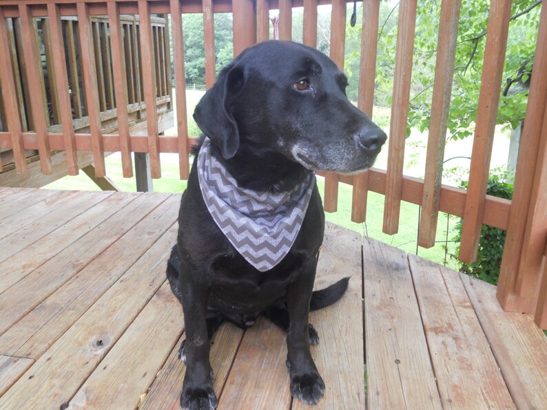 Dog and Cat Bandana...Slip on Design...Slides Over Collar...Shamrocks Galore...Small Large and Cat Sizes Medium