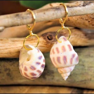 shell earrings