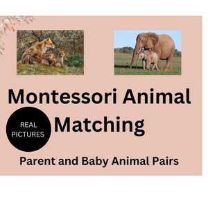 Cartões de correspondência Montessori de famílias de animais | Impressão de animais para pais e bebês | Atividade educacional de aprendizagem para crianças pequenas