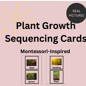 Cartes de séquençage de la croissance des plantes inspirées de Montessori