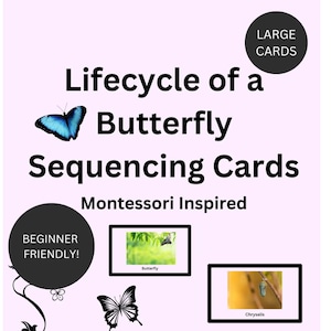 Montessori-inspired Lifecycle of a Butterfly Sequencing Cards