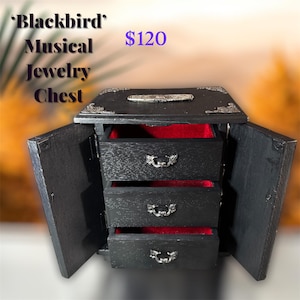 Jewelry box/Music Box/Gothic/Witchy/Gift/Handmade/Home decor/Skulls/Crow/Oddities/Witchcraft/Smudge Box/Herbs/Antique/Coffin/Black bird